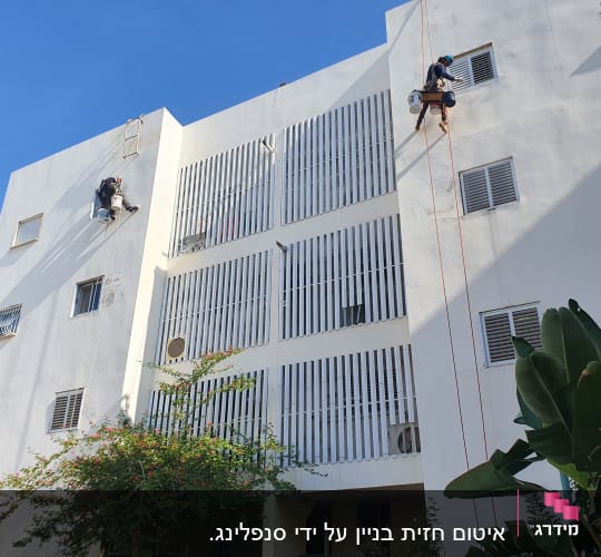שני עובדים תלויים על חבלים צובעים קיר בניין